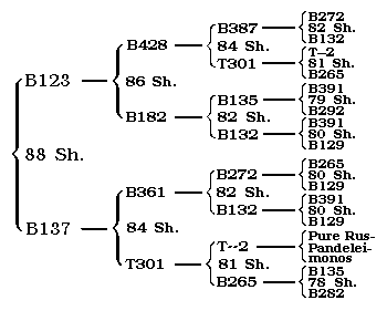 mini-pedigree