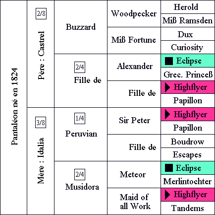 Table 1.
Pedigree de l’étalon Pantaléon